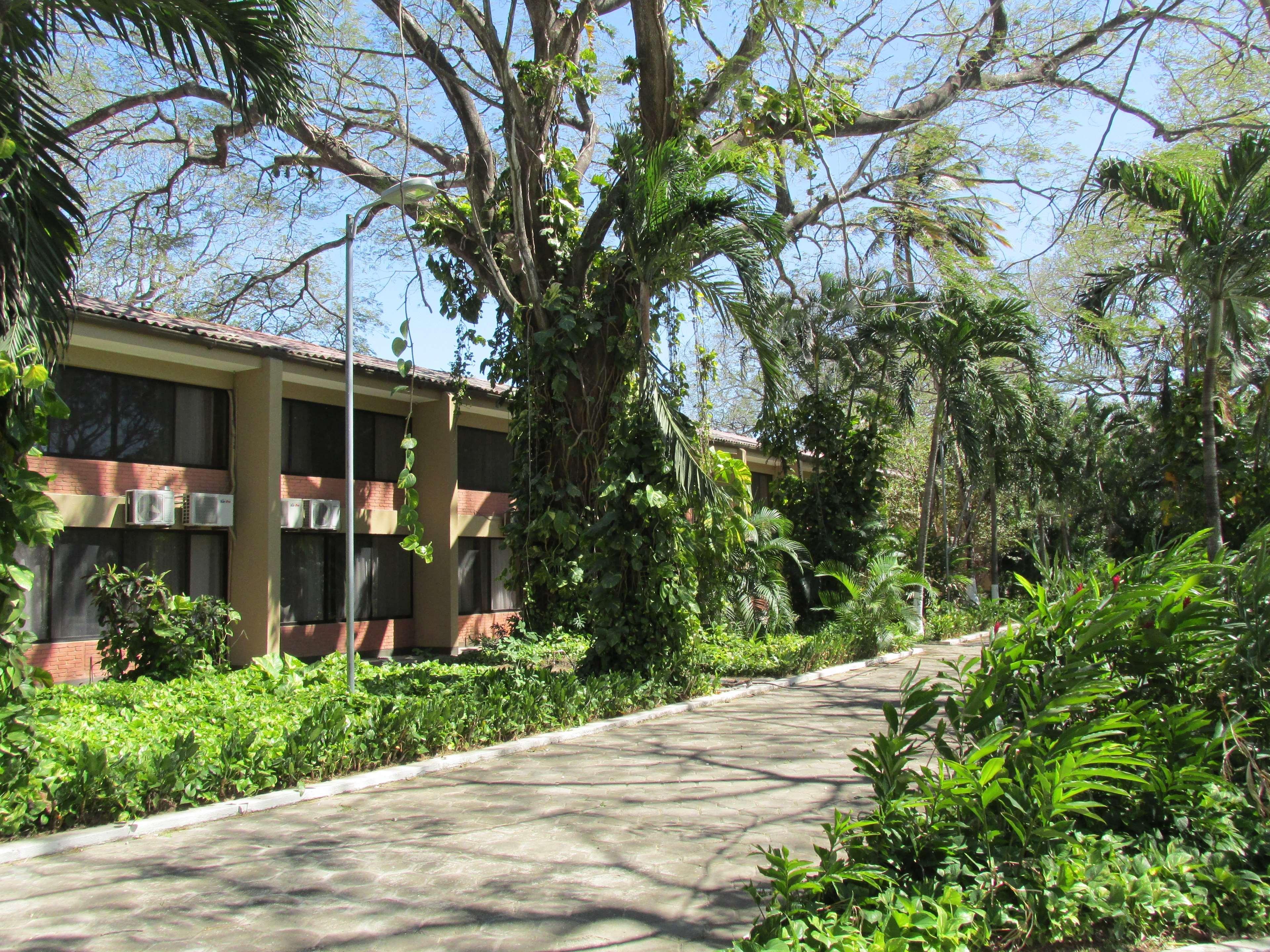 Best Western El Sitio Hotel & Casino Liberia Exterior photo